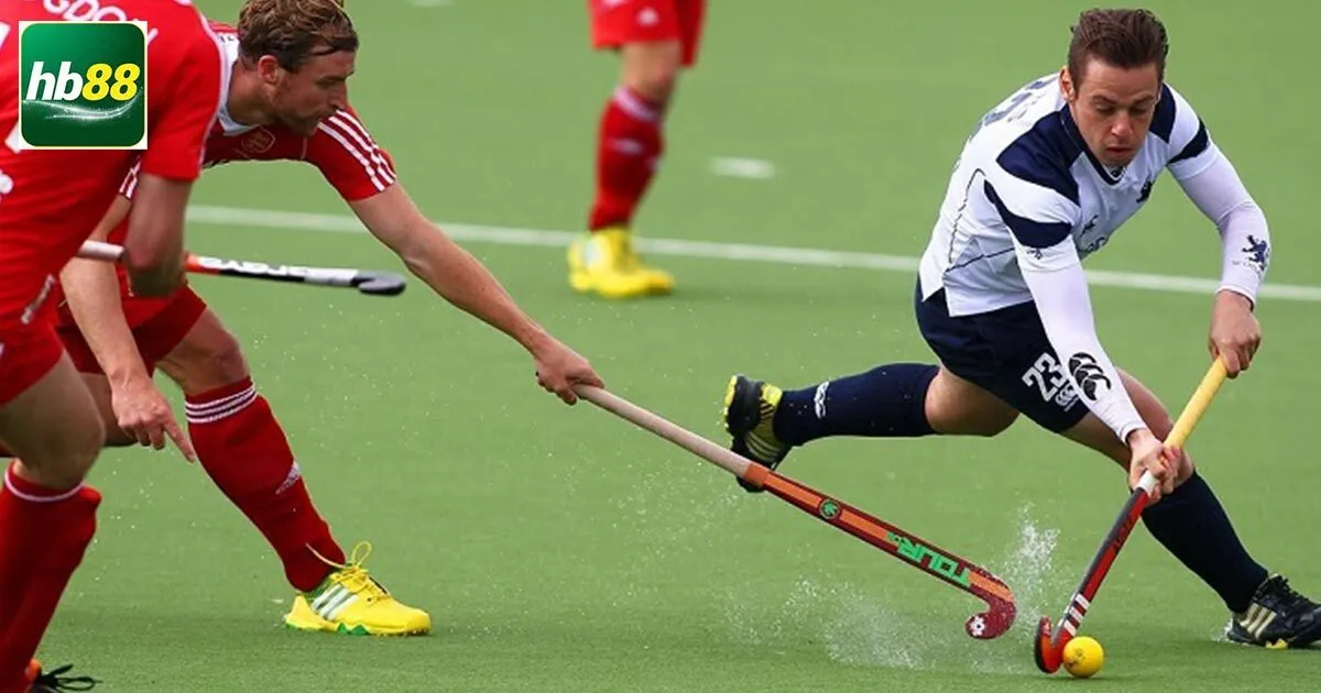 Tìm Hiểu Cá Cược Khúc Côn Cầu Và Một Số Lưu Ý Khi Chơi 4 Một vài lưu ý cần biết trong quá trình giải trí