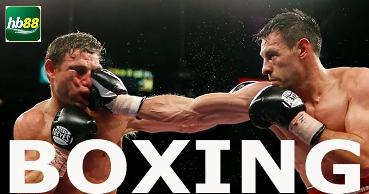 Cá Cược Boxing Online Và Những Điều Cần Biết 2 Đôi nét về cá cược boxing online?