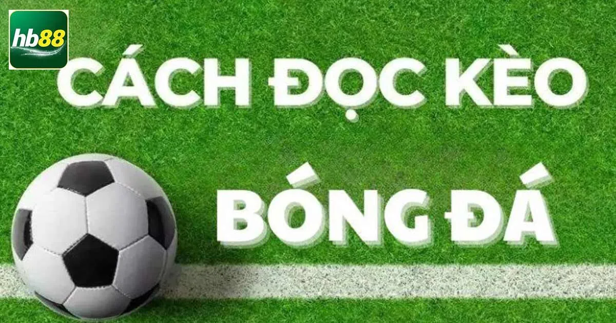 Cách Đọc Kèo Bóng Đá Cơ Bản Cược Thủ Nên Biết 4 Cách đọc kèo châu âu