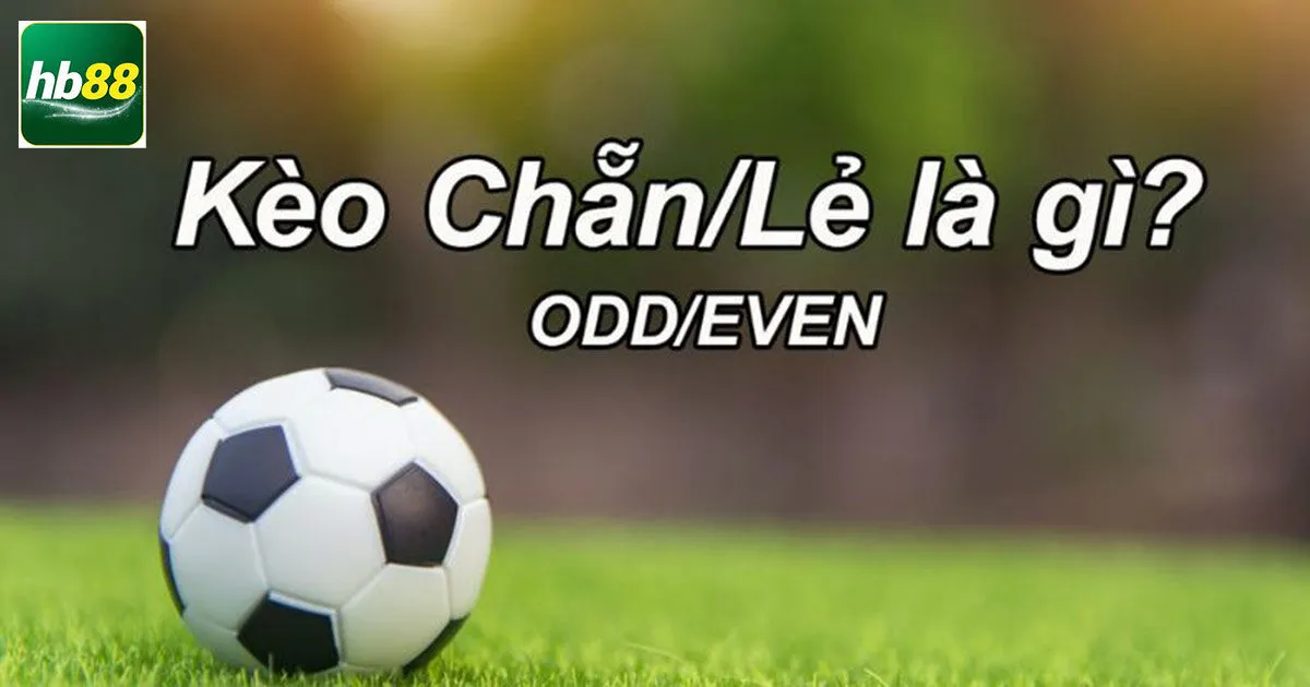 Luật Chơi Kèo Chẵn Lẻ Và Bí Kíp Tham Gia Hiệu Quả 4 Chọn sân chơi online uy tín